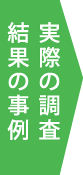 実際の調査 結果の事例